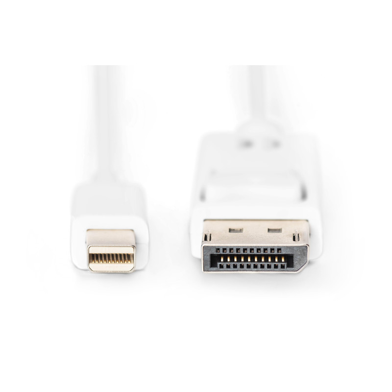 Digitus AK-340102-020-W Cable de conexión DisplayPort, 2 m, Mini DisplayPort, DisplayPort, Macho, Macho, Blanco
