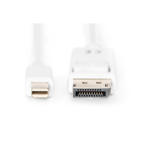 Digitus AK-340102-020-W Cable de conexión DisplayPort, 2 m, Mini DisplayPort, DisplayPort, Macho, Macho, Blanco