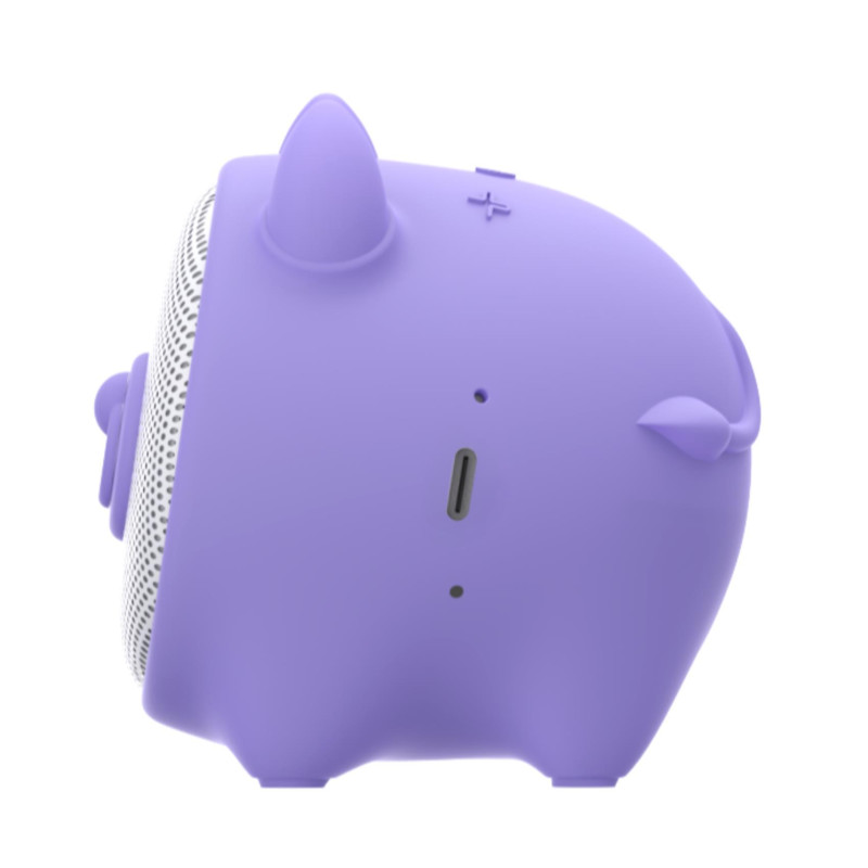 Celly WSBULL WSBULL, 5 cm, 3 W, 3 Ω, 79 dB, Inalámbrico, USB Tipo C