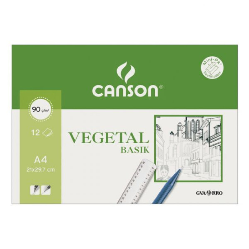 Canson C200407621 Vegetal Basik, Arte de papel, 90 g/m², 12 hojas