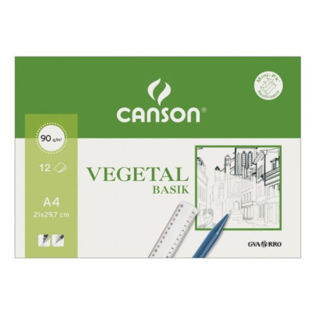 Canson C200407621 Vegetal Basik, Arte de papel, 90 g/m², 12 hojas