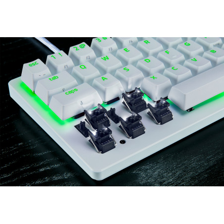 Razer RZ03-04981700-R3M1 RZ03-04981700-R3M1, Alámbrico, USB, Switch de tecla óptico, QWERTY, LED RGB, Blanco