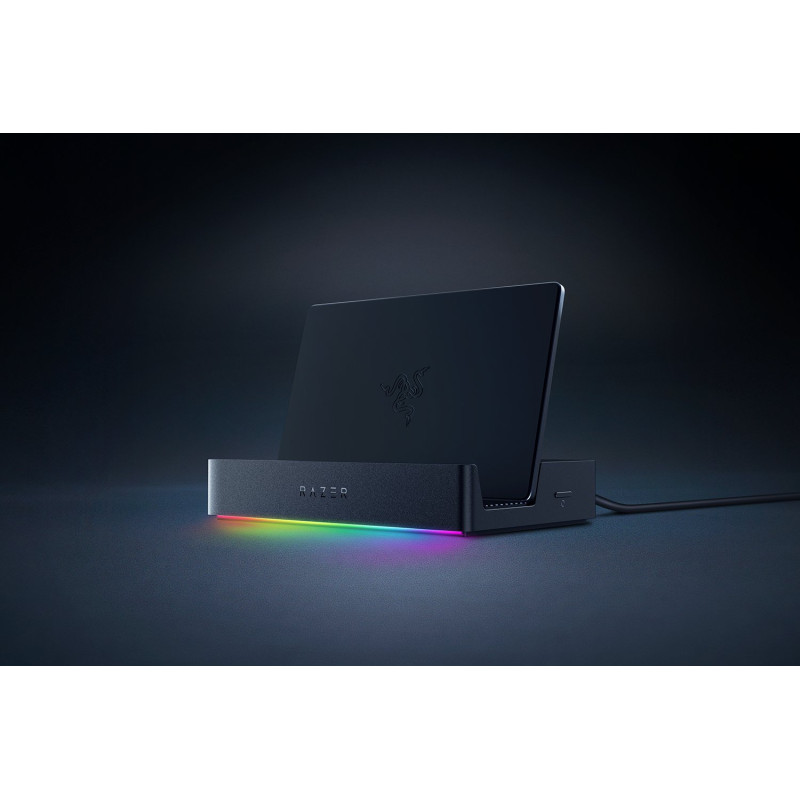Razer RC21-02310100-R3M1 RC21-02310100-R3M1, USB, Negro