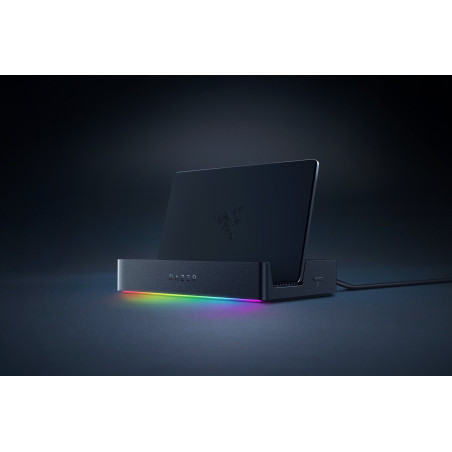 Razer RC21-02310100-R3M1 RC21-02310100-R3M1, USB, Negro