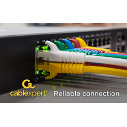Gembird PP6U-CU-0.25M CAT6A Patchkabel Ungeschirmt 0.25m - PP6U-CU-0.25m, 120 mm, 110 mm, 20 mm, 11 g, 130 mm, 180 mm 2