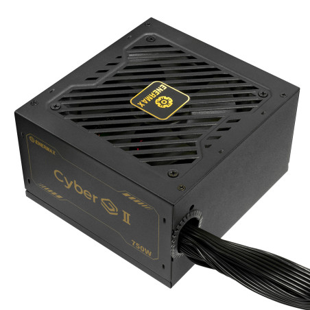Enermax ERV750G-AHG-NAC ERV750G-AHG-NAC, 750 W, 100 - 240 V, 50/60 Hz, 10-6 A, 100 W, 748,8 W