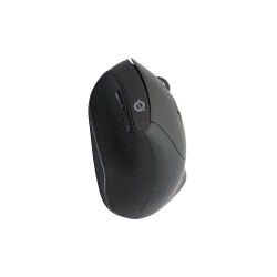Conceptronic ORAZIO02DE ORAZIO02DE, Completo (100%), Inalámbrico, RF inalámbrico, QWERTZ, Negro, Ratón incluido 2