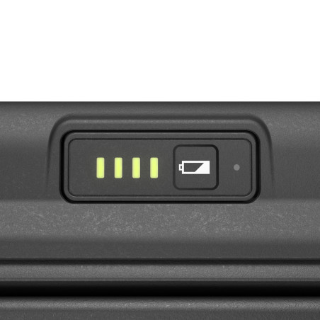 Canon 7069C026 MAXIFY BX110, Color, 4800 x 1200 DPI, 2, A4, Impresión dúplex, OLED