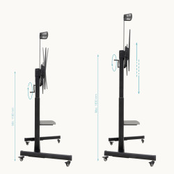 TooQ FS20406HM-B “AQUILES” Soporte de Suelo con Ruedas con Regulación de Altura para Pantallas 60"-100", Negro, 2,54 m 2