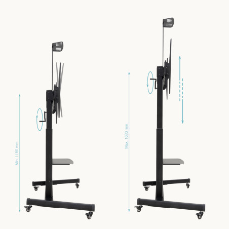 TooQ FS20406HM-B “AQUILES” Soporte de Suelo con Ruedas con Regulación de Altura para Pantallas 60"-100", Negro, 2,54 m