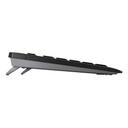 CHERRY JD-8550DE-2 STREAM DESKTOP COMFORT, Inalámbrico, RF inalámbrico, Switch de tecla de tijera, QWERTZ, Negro, Ratón 2