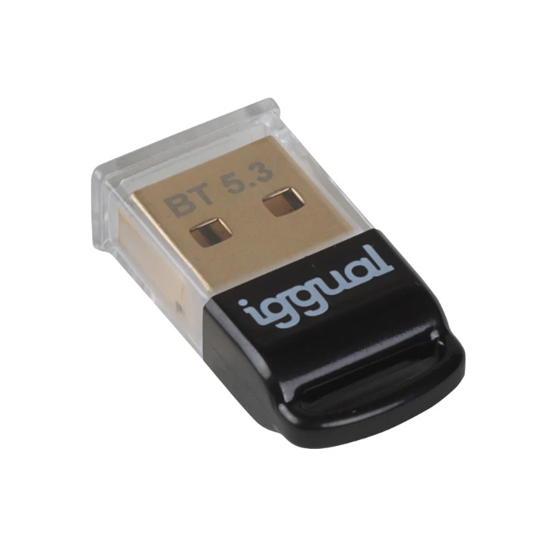 iggual IGG319383 Adaptador USB 2.0 mini Bluetooth 5.3, USB tipo A, Bluetooth, Negro, Macho, Derecho, 0,003 Gbit/s