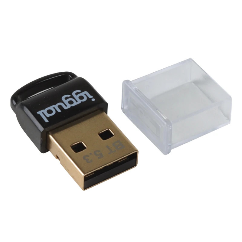 iggual IGG319383 Adaptador USB 2.0 mini Bluetooth 5.3, USB tipo A, Bluetooth, Negro, Macho, Derecho, 0,003 Gbit/s