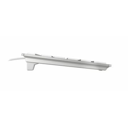 CHERRY JK-1610DE-1 KC 6000 SLIM FOR MAC, Completo (100%), Alámbrico, USB, QWERTZ, Plata