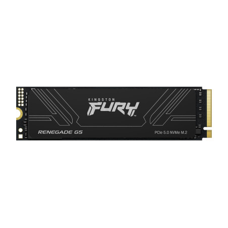 Kingston Technology SFYR2S/4T0 4T FURY RENEGADE G5 M.2 2280 NVMe SSD, 4 TB, M.2, 14800 MB/s