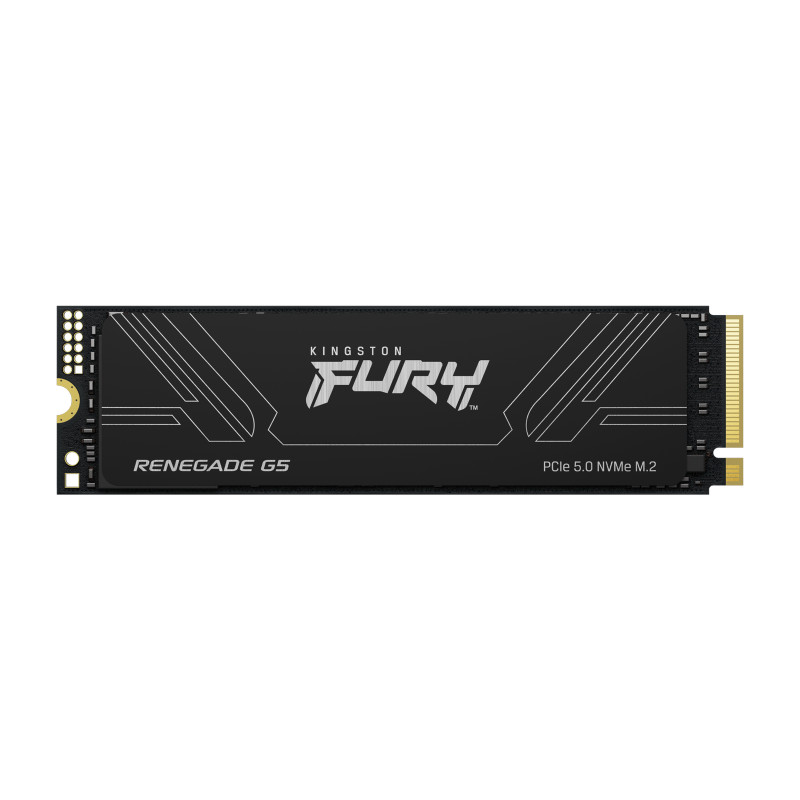 Kingston Technology SFYR2S/2T0 2T FURY RENEGADE G5 M.2 2280 NVMe SSD, 2 TB, M.2, 14700 MB/s