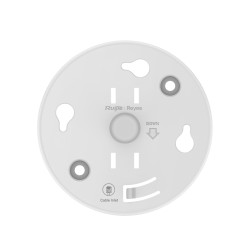 Ruijie Networks RG-RAP2266 RG-RAP2266, 2,4 GHz, 5 GHz, 2976 Mbit/s, WMM, WPA-PSK, WPA2-PSK, 10,100,1000 Mbit/s 2