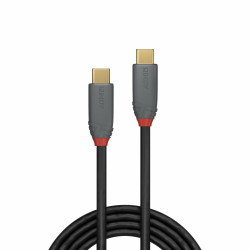 Lindy 36903 36903, 2 m, USB C, USB C, USB 3.2 Gen 2 (3.1 Gen 2), 20 Gbit/s, Negro 2