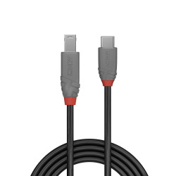 Lindy 36666 36666, 1 m, USB C, USB B, USB 3.2 Gen 1 (3.1 Gen 1), Negro 2
