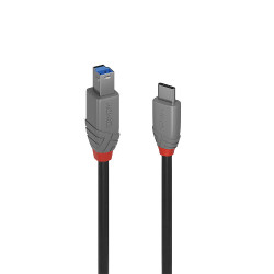 Lindy 36666 36666, 1 m, USB C, USB B, USB 3.2 Gen 1 (3.1 Gen 1), Negro