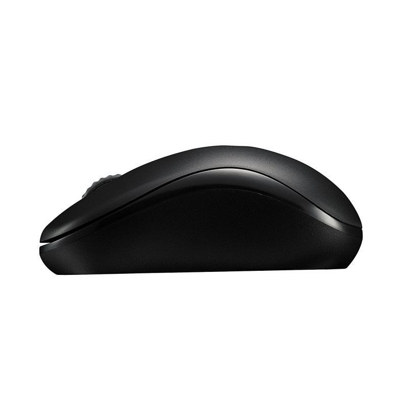 Rapoo 17298 M10 Plus, Ambidextro, Óptico, RF inalámbrico, 1000 DPI, Negro