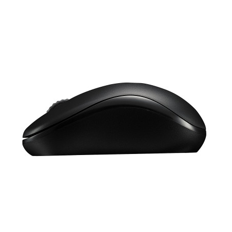 Rapoo 17298 M10 Plus, Ambidextro, Óptico, RF inalámbrico, 1000 DPI, Negro