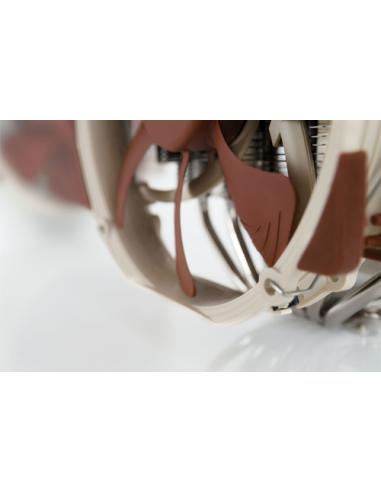 Noctua NH-D15 sistema de refrigeración para ordenador Procesador Enfriador 14 cm Beige, Marrón, Acero