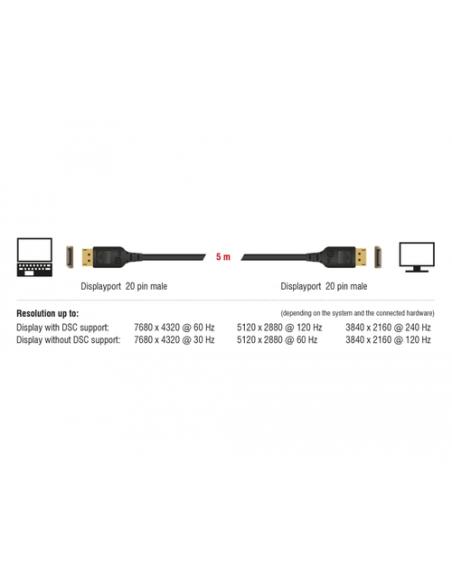 DeLOCK 85660 cable DisplayPort 2 m Negro