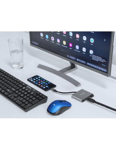 NATEC Fowler Mini USB 2.0 Type-C Gris