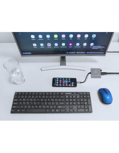 NATEC Fowler Mini USB 2.0 Type-C Gris