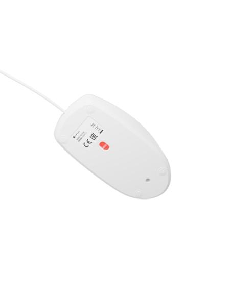 NATEC NMY-1988 ratón Oficina USB tipo A Óptico