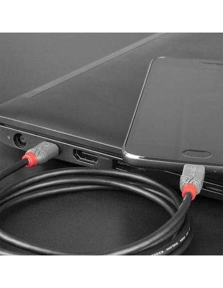 Lindy 36892 cable USB USB 2.0 2 m USB C Micro-USB B Negro, Gris