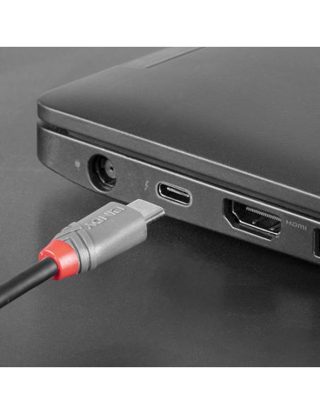 Lindy 36892 cable USB USB 2.0 2 m USB C Micro-USB B Negro, Gris