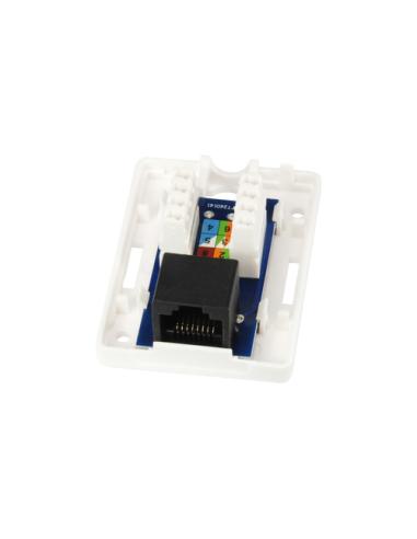 Equip 235113 caja de tomacorriente RJ-45 Blanco