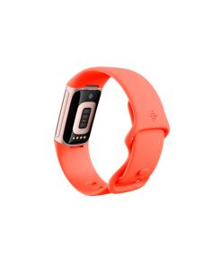Fitbit GA05184-EU Charge 6, Pulsera de actividad, AMOLED, GPS (satélite), Comunicación de Campo Cercano (NFC), A prueba de 2
