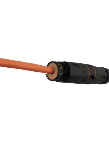 Equip 221162 cambiador de género para cable RJ-45 Negro, Naranja