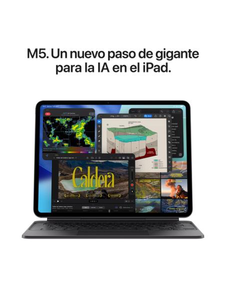 Apple iPad Pro 5G Apple M LTE-TDD & LTE-FDD 2 TB 33 cm (13") 16 GB Wi-Fi 7 (802.11be) iPadOS 26 Negro