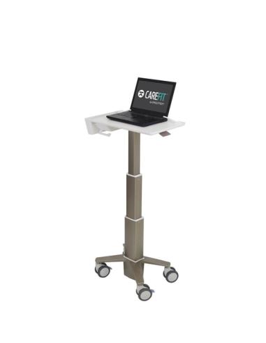 Ergotron C50-1100-0 soporte para ordenador portátil Gris 39,6 cm (15.6")