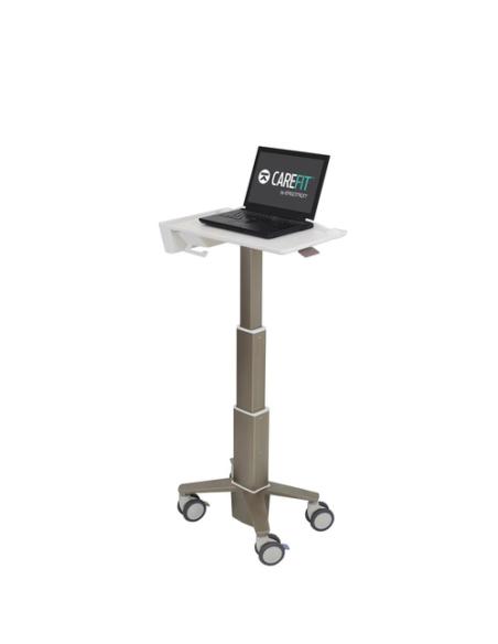 Ergotron C50-1100-0 soporte para ordenador portátil Gris 39,6 cm (15.6")
