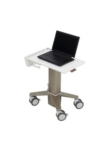 Ergotron C50-1100-0 soporte para ordenador portátil Gris 39,6 cm (15.6")