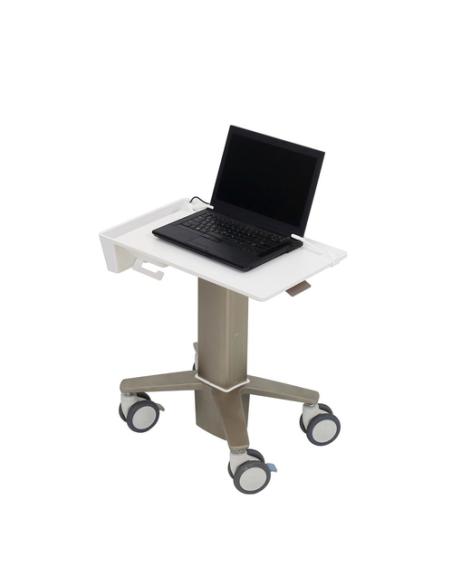 Ergotron C50-1100-0 soporte para ordenador portátil Gris 39,6 cm (15.6")