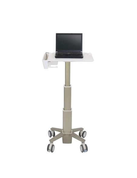 Ergotron C50-1100-0 soporte para ordenador portátil Gris 39,6 cm (15.6")