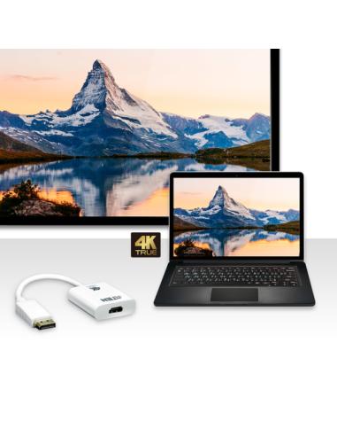 ATEN Adaptador activo de DisplayPort a HDMI True 4K