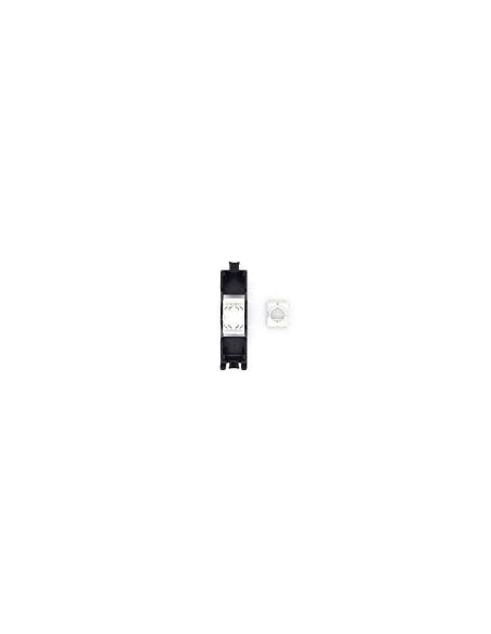 WP WPC-KEY-6UP-TL/BL módulo de conector de red