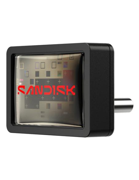 SanDisk Extreme Fit unidad flash USB 256 GB USB Tipo C 3.2 Gen 1 (3.1 Gen 1) Negro