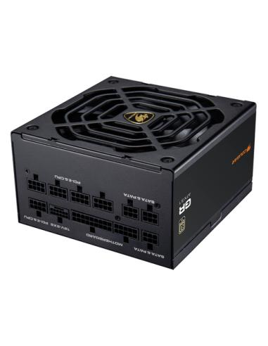 COUGAR CGRGDN-1000 unidad de fuente de alimentación 1000 W 20+4 pin ATX ATX Negro