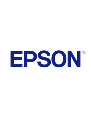 Epson Cartucho T692300 magenta