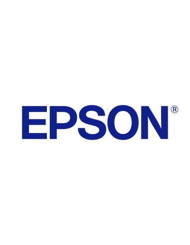 Epson Cartucho T692300 magenta