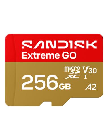 SanDisk Extreme GO 256 GB MicroSDXC UHS-I