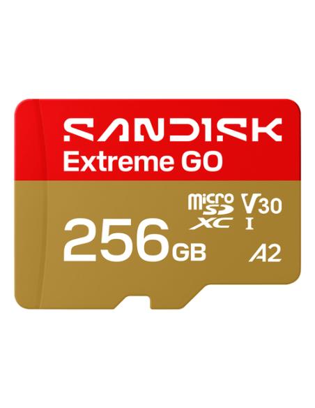 SanDisk Extreme GO 256 GB MicroSDXC UHS-I